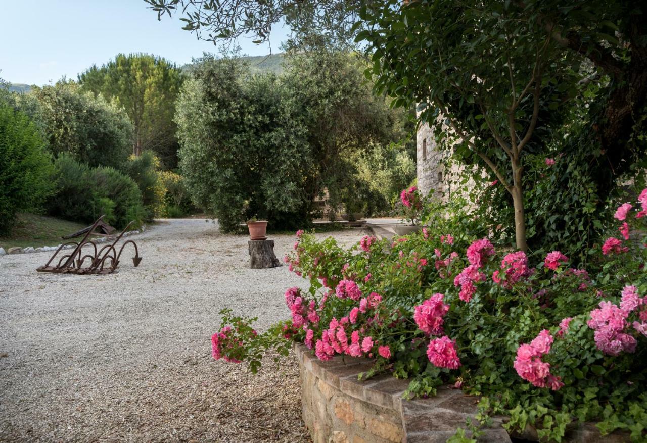 Agriturismo Il Giardino Dei Ciliegi Passaggio di Assisi Dış mekan fotoğraf